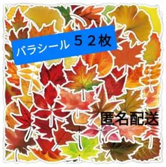 ばらシール　大きめ　もみじ　５２枚
