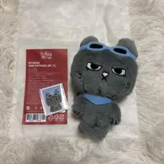 2026年最新】Boynextdoor テサン ぬいぐるみの人気アイテム - メルカリ