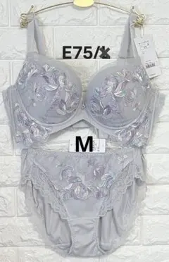 E75L トリンプ プレミアム 寄せアゲハ 花と油絵 ブラ＆ショーツ M008
