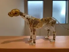 2025年最新】サイボーグ ジャガーの人気アイテム - メルカリ