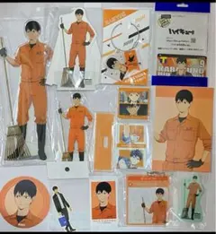 ハイキュー 影山飛雄 東武動物公園など