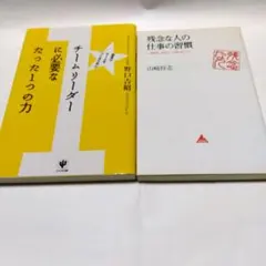 経済２冊 チームリーダーに必要なたった1つの力 :残念な人の仕事の習慣 人間関係