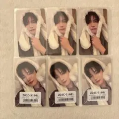 &TEAM 雪明かり ふわふわアニマルフォトカードJO ジョウ セット　各1枚