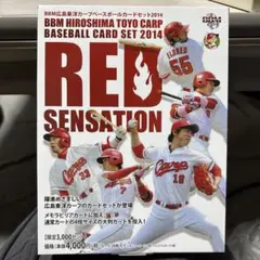 ヤンヤンつけボーパイセン様 リクエスト 2点 まとめ商品