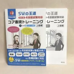 Item thumbnail for item 2cd6b23a-5a99-481d-8c35-8f321d2c9ae3