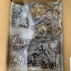 Item thumbnail for item 9fcaa7d3-70af-4af7-962e-be3bdf16c40d