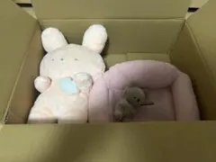 80サイズ　詰め放題