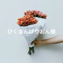 ぴくまんげりおん様
