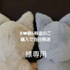 K❤︎朝6時迄のご購入で当日発送様オーダーぬい服
