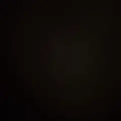 専用