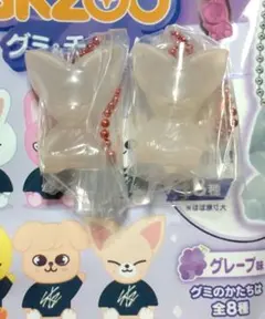 SKZOO グミ＆チャーム FoxI.Ny フォクシニー