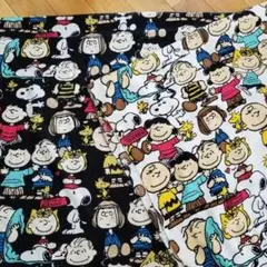 Item thumbnail for item aee6c624-56cf-45b8-aa2b-02ae5bcd30c0