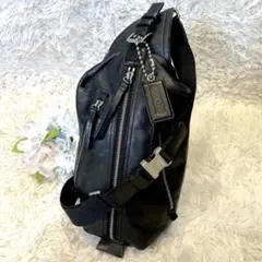 2026年最新】コーチ トンプソンの人気アイテム - メルカリ