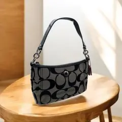 COACH ショルダーバッグ/シグネイチャー/ブラック/グレー/F15231