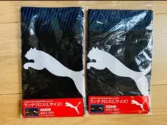 Item thumbnail for item ae05a6da-60ce-46b4-871c-97aeffb4f3ed