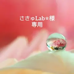 さきゅLab⭐︎様 リクエスト 2点 まとめ商品