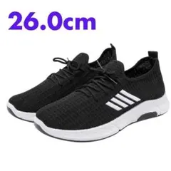 Item thumbnail for item 037a95c9-b126-4c15-bdaf-7871652c0c69