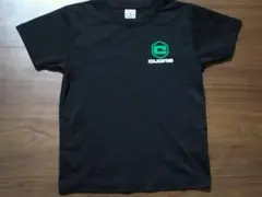 Item thumbnail for item f7d731c4-abe9-42a3-ac87-a85adb851760