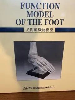足関節機能模型 FUNCTION MODEL OF THE FOOT