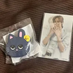 ウォンビン　ランダムトイ