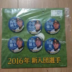 Item thumbnail for item 0b18d421-d019-45b9-bff1-da1c74ab50ed