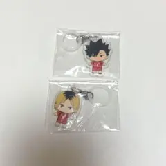 【匿名配送】ハイキュー　めじるしアクセサリー　2点セット