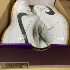 Nike SB Dunk Low Pro 11 (US)