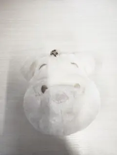 くまのプーさん　パスケース