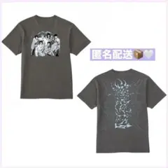 未開封】龍宮城 Tシャツ Mサイズ 龍宮の遊泳区 - メルカリ
