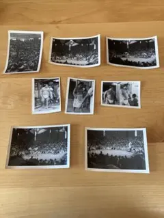 Item thumbnail for item 193eb174-bb7c-426d-bf60-922afae774f0