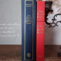 B280 ヴィンテージ 洋書 お洒落な組み合わセット ディスプレイ インテリア