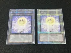 遊戯王 ワタポン ノーマル ウルトラ セット MOV - メルカリ
