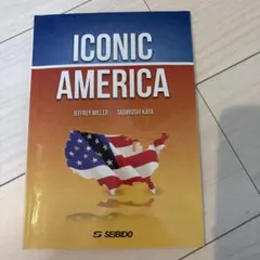 ICONIC AMERICA※書き込みあり