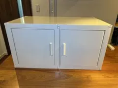 2025年最新】冷やし虫家HIの人気アイテム - メルカリ