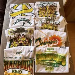 Item thumbnail for item 2ceddaa1-7be7-4f09-9396-81658aacbede