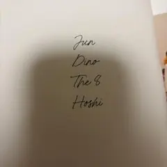 SEVENTEEN セブチ YOUR CHOICE ONE SIDE. パフォチ