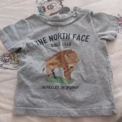 THE NORTH FACE バイソンTシャツ