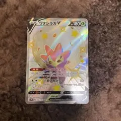 ワタシラガVSSRとその他