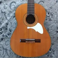 Item thumbnail for item d6500986-1b24-4080-a7ef-e2c1bef94141