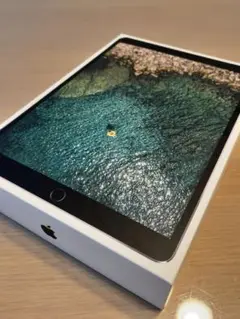 iPadPro 256GB 10.5インチ Wi-Fi スペースグレイ　美品