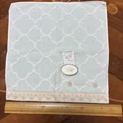 Item thumbnail for item 4e0ebd96-c75a-418b-8944-74c24f1931d6