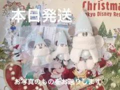 本日発送　ディズニー　リルリンリンぬいぐるみバッジ　チャーム　スナックケース