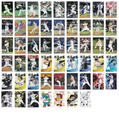 プロ野球チップス 2025 第2弾 まとめ売り 83枚（52種）