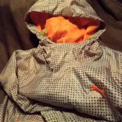 Item thumbnail for item 59a71049-883d-45a3-b4a7-0315fa946d5b