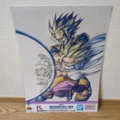一番くじドラゴンボール40thH賞 クリアポスター【親子かめはめ波】