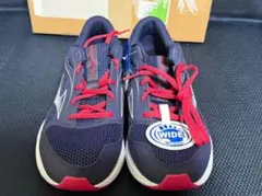 MIZUNO マキシマイザー26[ウィメンズ] K1GA240123 24CM