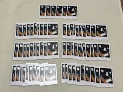 &TEAM トレカ FUMA Back to life mini