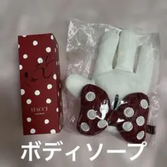 HACCI ミニー　ボディソープセットのサムネイル