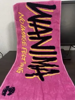 WANIMA タオル & Tシャツ セット