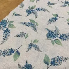 Item thumbnail for item bd8aa519-90cc-486a-a6dc-0fe74f641735